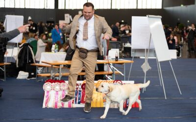 Die ZTF & IHA Salzburg stand am Programm