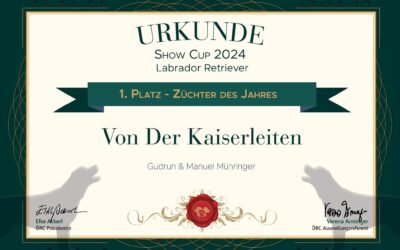 Cuptitel 2024 ist wieder zuhause