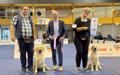 Klagenfurt immer eine Reise wert