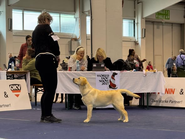 549819372_24836945005918115_3835866392164534137_n Training von der Kaiserleiten