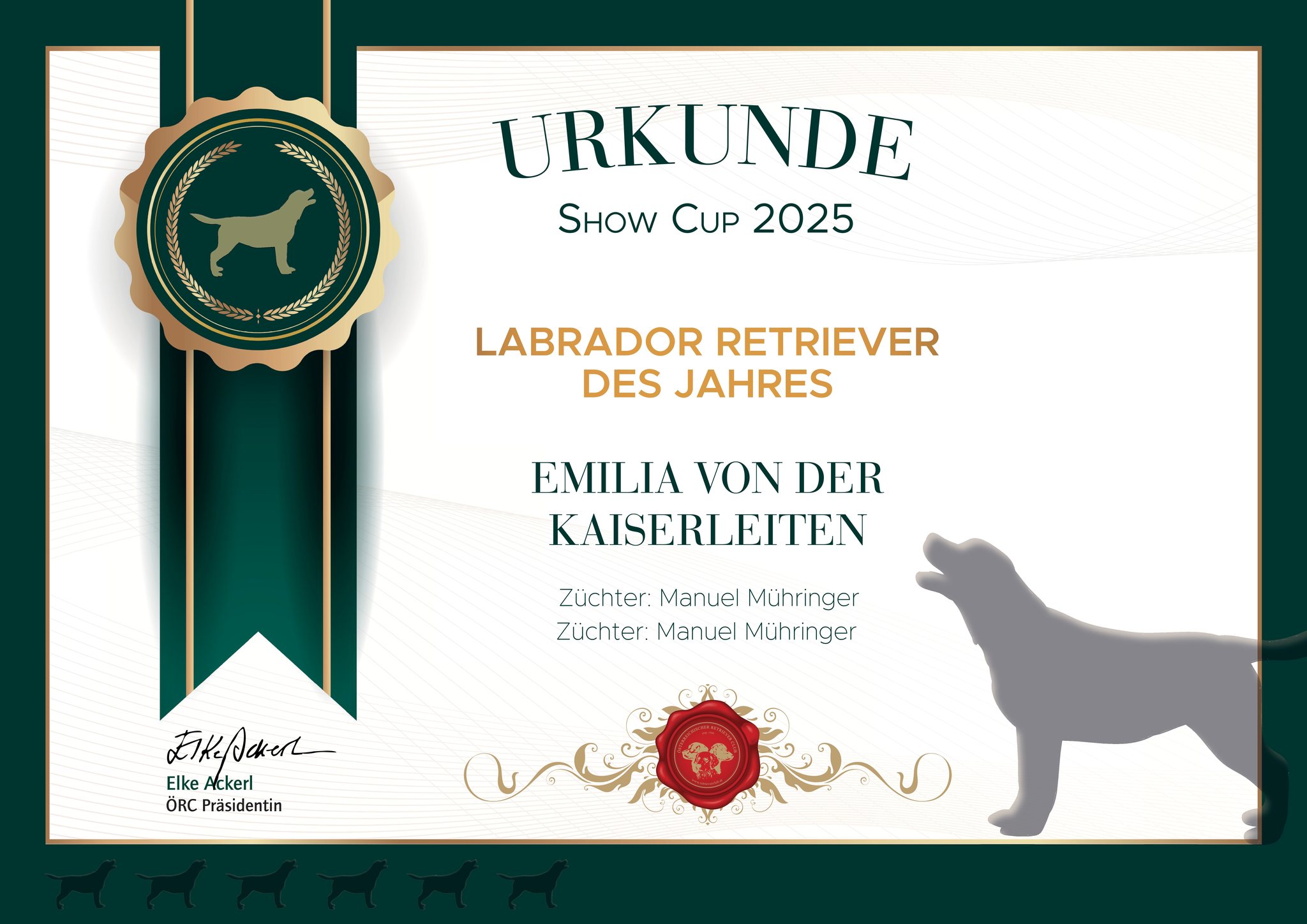 Orsa - Alaska Ambasadorius
