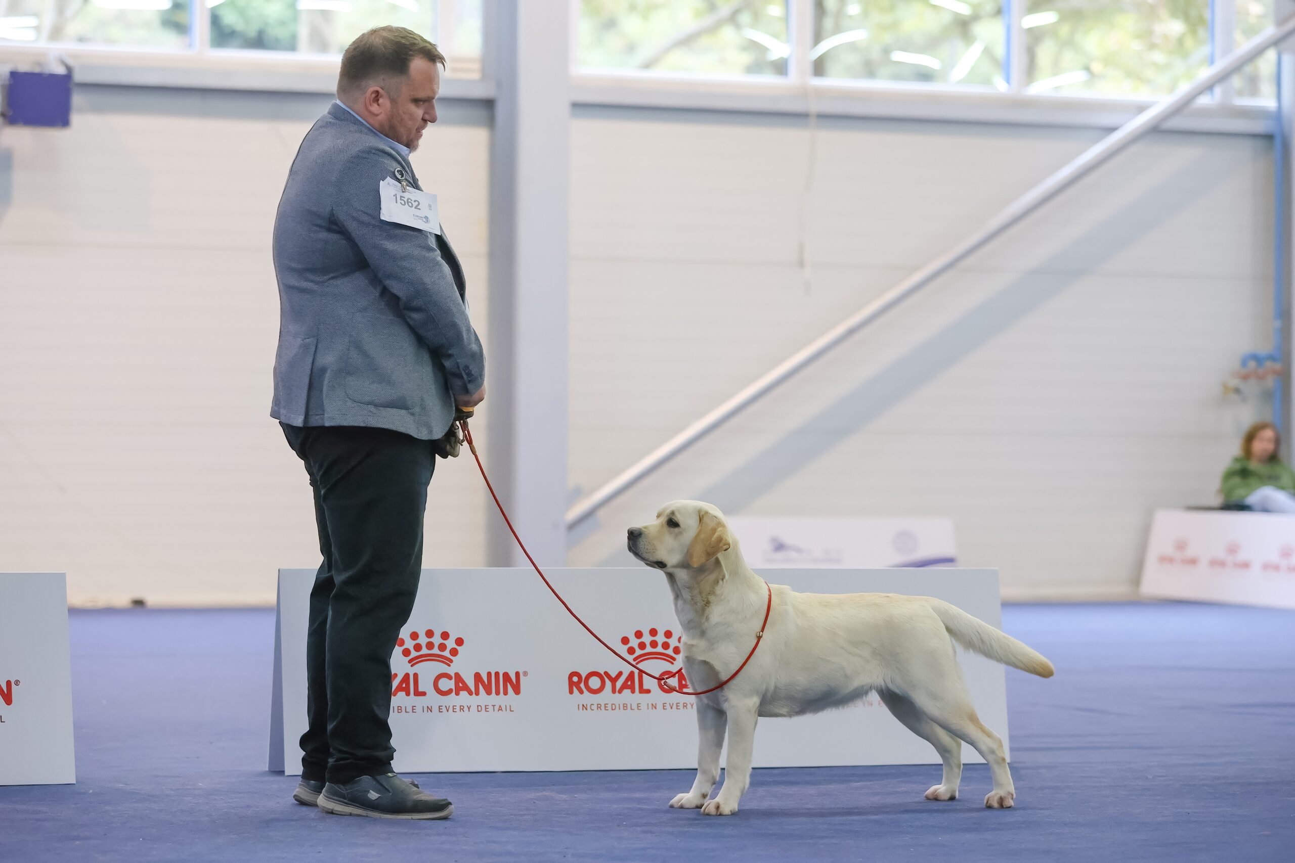 Training von der Kaiserleiten